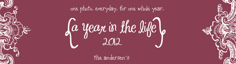 andersen family a year in the life '12